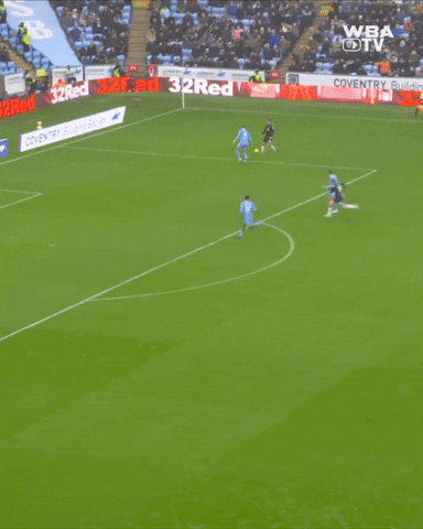 West Brom Championship GIF by West Bromwich Albion