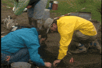 archaeology cmhgif GIF by Canadian Museum of History
