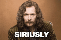 harry potter seriously GIF