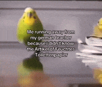 German Running GIF