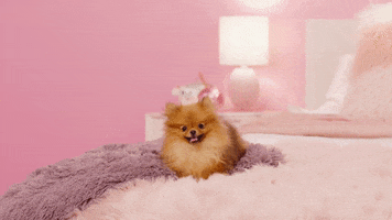 loren gray GIF