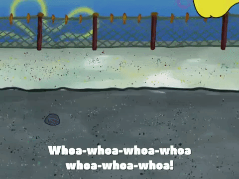 season 4 krusty towers GIF by SpongeBob SquarePants