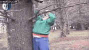 ladder GIF