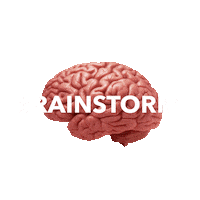 brains brainstorm Sticker by Nerds & Company