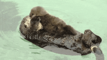 baby GIF