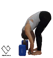 vodenevadbe_si yoga pilates barre yogi Sticker