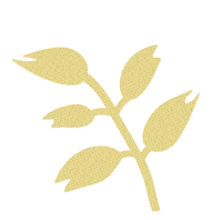 Space Oat Sticker by Green Planet Astronauts