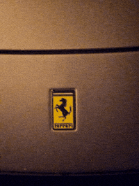 Horse Ferrari GIF