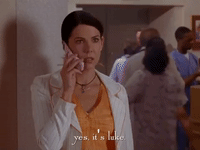 season 5 netflix GIF by Gilmore Girls 