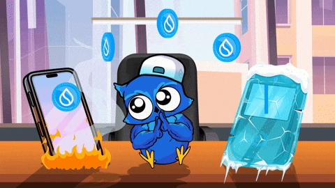 Owl Send GIF by BigBrains