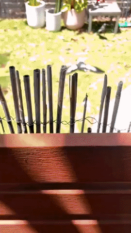 cuteanimalland giphyupload GIF