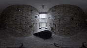 Contemporary Art GIF