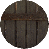 Thechosen Sticker by The Chosen Brasil