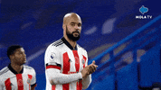 Happy Fun GIF by MolaTV