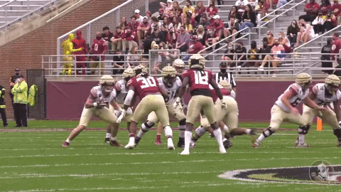 ptk12 giphyupload GIF