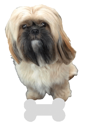 Bone Dog Sticker