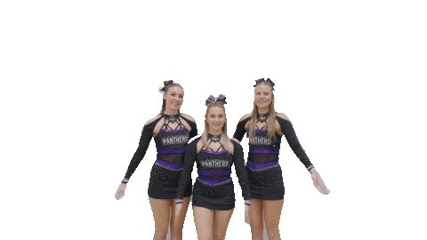 Cheer Gopanthers Sticker by University of Brighton