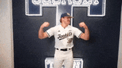 Georgia Tech Baseball GIF by Georgia Tech Yellow Jackets