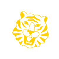 Miami Tiger Sticker by Rakastella