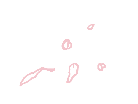 Pink Decorate Sticker
