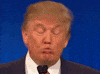 Political gif. Trump at a microphone, his eyes closed and his lips pursed, rocks his head back and forth in a perfect loop. 