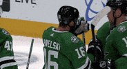 Ice Hockey Hug GIF by NHL