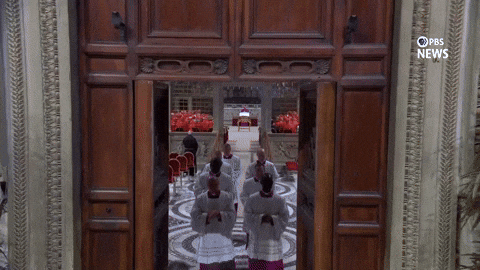 Walking Out Cardinals GIF by PBS News