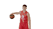 Liga Endesa Basketball Sticker by ACB