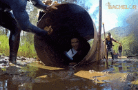 nick cummins rose GIF by The Bachelor Australia