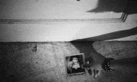 Grey Scale GIF by DUCKWRTH