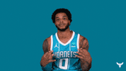 Miles Bridges Sport GIF by Charlotte Hornets