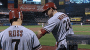 arizona diamondbacks baseball GIF by MLB