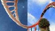 Combined Gifs GIF by MOODMAN