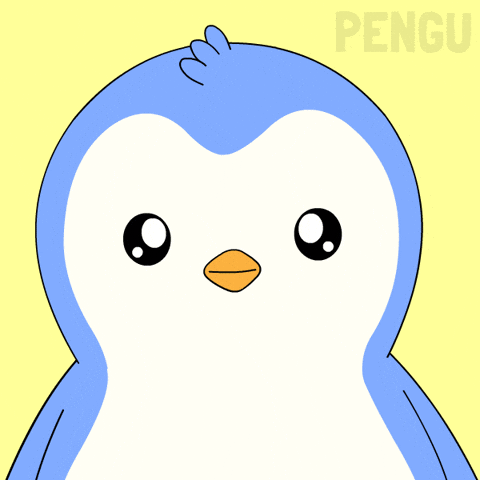 Money Penguin GIF by Pudgy Penguins