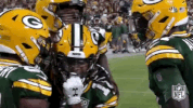 2018 Nfl Football GIF by NFL