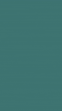 WeSellHomesRealty wsh wesellhomes wesellhomesrealty GIF