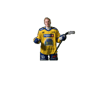 Jubel Sticker by Storhamar Hockey
