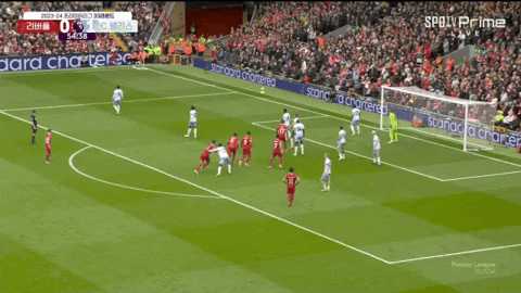 Davi4ever giphyupload GIF