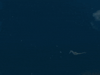 The Salmon Dance GIF by The Chemical Brothers