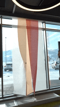 ISP-Zuerisee switzerland mosquito insects checkthis GIF