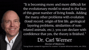 Theory Of Evolution Christian GIF