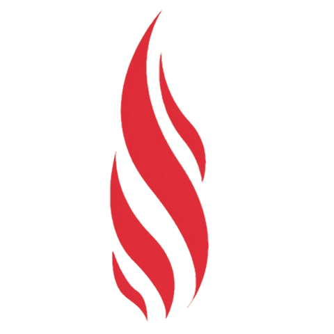 loringroasters fire burn flame roast Sticker