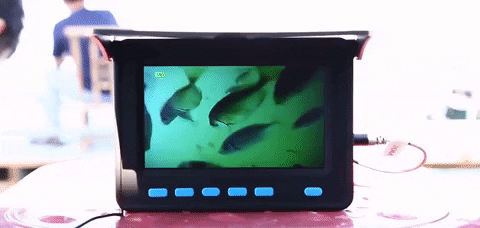 giphyupload GIF