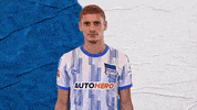 Bundesliga Berlin GIF by Hertha BSC