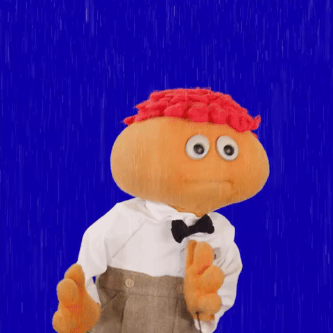 it's raining it's pouring