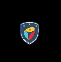 IdeaSport soccer training GIF