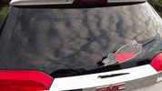 flying wiener dog GIF by WiperTags