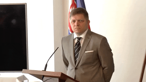 mikarokov giphygifmaker GIF