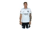 Celebration Goal Sticker by Eintracht Frankfurt