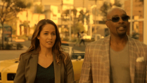 fox broadcasting GIF by Rosewood